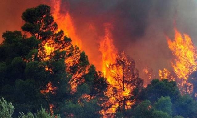 Φθιώτιδα - ΤΩΡΑ: Σε εξέλιξη δυο μεγάλες φωτιές στη Λοκρίδα - Φωτογραφία 1