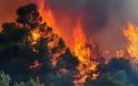 Φθιώτιδα - ΤΩΡΑ: Σε εξέλιξη δυο μεγάλες φωτιές στη Λοκρίδα