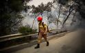 Ερχονται δυνάμεις από Κύπρο για να συνδράμουν στις πυρκαγιές