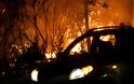 Φρίκη από τις πυρκαγιές: Επισήμως 49 οι νεκροί – Κάηκαν αγκαλιά με τα παιδιά τους