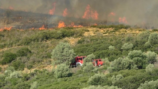 Μαίνεται η φωτιά που ξέσπασε χθες σε Ζεμενό και Θροφάρι στην Κορινθία - Φωτογραφία 1