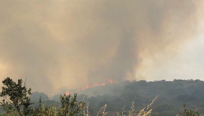 Δύσκολες ώρες από φωτιά στα Χανιά - Εκκενώθηκε οικισμός [photos] - Φωτογραφία 4