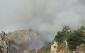 Δύσκολες ώρες από φωτιά στα Χανιά - Εκκενώθηκε οικισμός [photos]