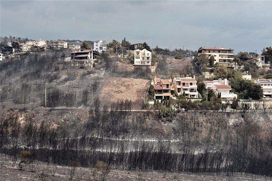 Στους 74 ο επίσημος απολογισμός των νεκρών - 164 ενήλικες τραυματίες και 23 παιδιά - Φωτογραφία 7