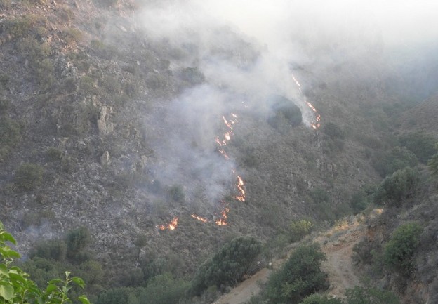 Κρήτη: Σε ύφεση η φωτιά στον Κακόπετρο Χανίων - Φωτογραφία 1