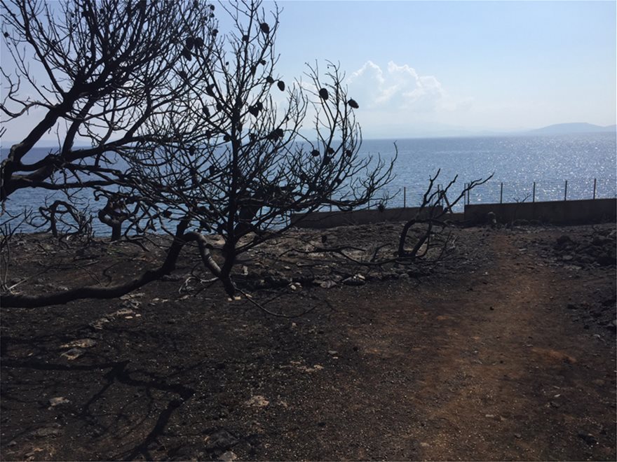 Ανατριχίλα στο οικόπεδο της Αποκάλυψης: Εδώ βρέθηκαν νεκροί οι 26 άνθρωποι - Φωτογραφία 13