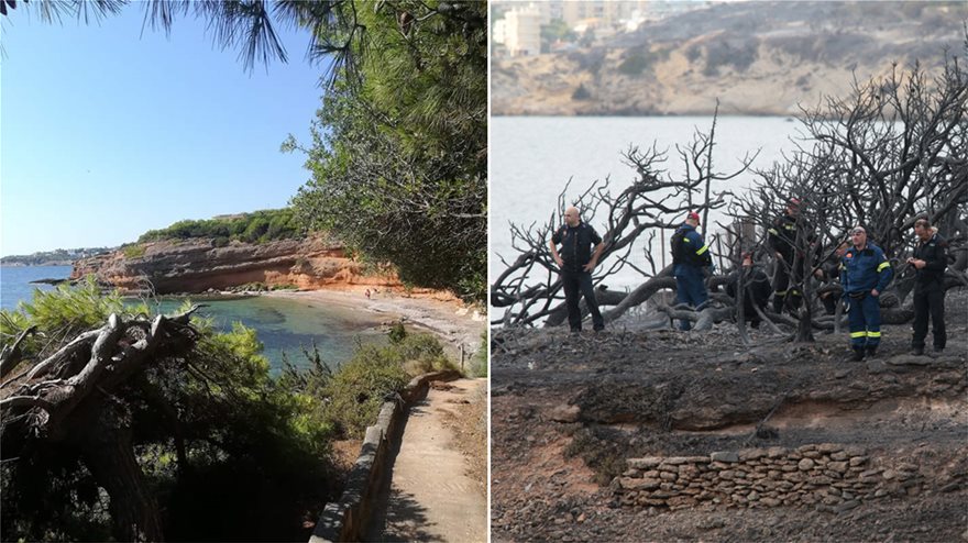 Εικόνα «γροθιά»: Έτσι ήταν τρεις μέρες πριν το σημείο όπου βρέθηκαν νεκρά 26 άτομα στο Μάτι! - Φωτογραφία 2