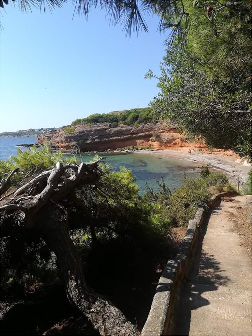 Εικόνα «γροθιά»: Έτσι ήταν τρεις μέρες πριν το σημείο όπου βρέθηκαν νεκρά 26 άτομα στο Μάτι! - Φωτογραφία 3