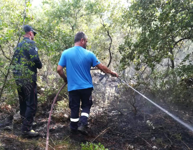 Και 3η πυρκαγιά μέσα σε λίγες μέρες στην ΠΑΛΑΙΟΜΑΝΙΝΑ! - Φωτογραφία 1