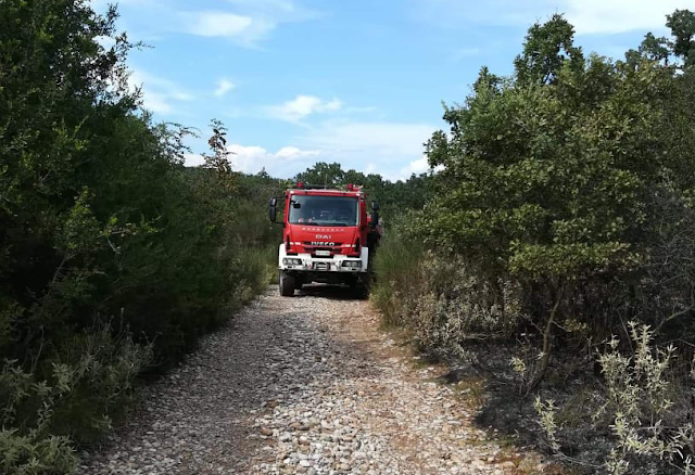 Και 3η πυρκαγιά μέσα σε λίγες μέρες στην ΠΑΛΑΙΟΜΑΝΙΝΑ! - Φωτογραφία 2