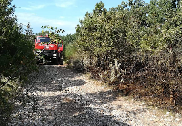 Και 3η πυρκαγιά μέσα σε λίγες μέρες στην ΠΑΛΑΙΟΜΑΝΙΝΑ! - Φωτογραφία 4