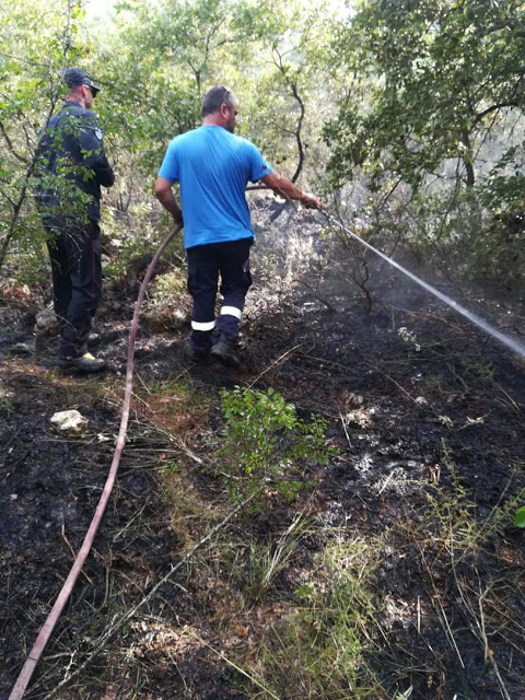 Και 3η πυρκαγιά μέσα σε λίγες μέρες στην ΠΑΛΑΙΟΜΑΝΙΝΑ! - Φωτογραφία 5