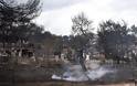 Νεκροτομείο Αθηνών: Δραματικές στιγμές για τους συγγενείς των νεκρών από τη φωτιά στο Μάτι