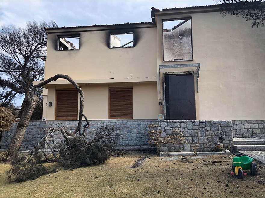 Συγκλονίζει η μαρτυρία της συζύγου του σκηνοθέτη Αγγελόπουλου: Κάηκε το σπίτι μου, καταστράφηκε το αρχείο του Θόδωρου - Φωτογραφία 5