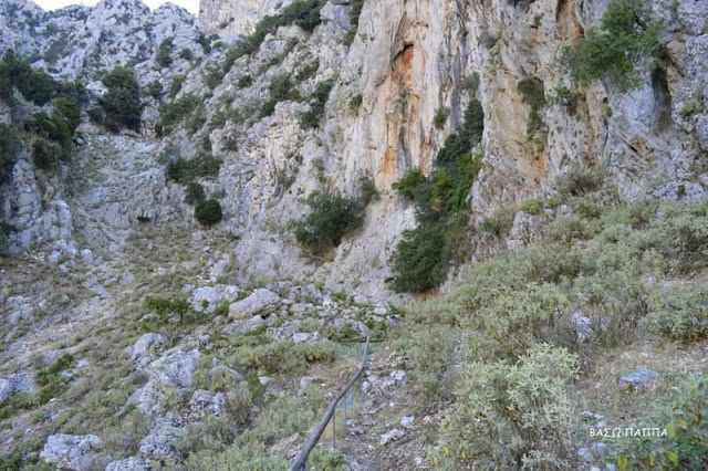 Εικόνες από την παραμονή της εορτής της Αγίας Παρασκευής Κανδήλας (ΦΩΤΟ: Βάσω Παππά) - Φωτογραφία 27