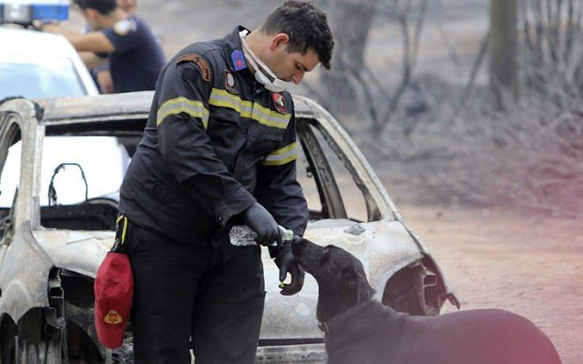 Τραγωδία: Στους 84 οι νεκροί- Αγωνία για τους αγνοούμενους - Φωτογραφία 4