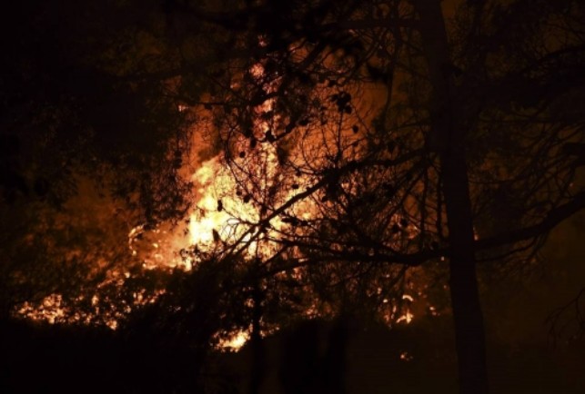 Ν. Μάργαρης - Γιατί καίγονται τα δάση - Φωτογραφία 1
