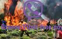 Δωρεάν κλήσεις προς και από την Ελλάδα απο το Viber λόγο πυρκαγιών