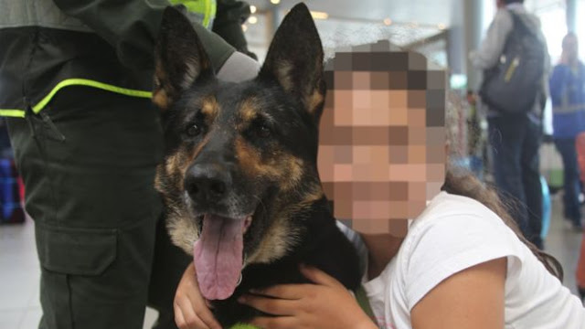 Κολομβιανό καρτέλ ναρκωτικών επικήρυξε σκύλο Κ-9 με 70.000 δολάρια γιατί εντόπισε 10 τ. κοκαϊνης! - Φωτογραφία 1