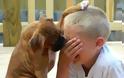 Τα σκυλιά προσπαθούν να παρηγορήσουν τους ιδιοκτήτες τους όταν είναι λυπημένοι - Φωτογραφία 3