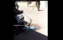 Ναύπακτος: Φίδι κουλουριάστηκε μέσα σε μηχανή αυτοκινήτου (ΔΕΙΤΕ VIDEO)