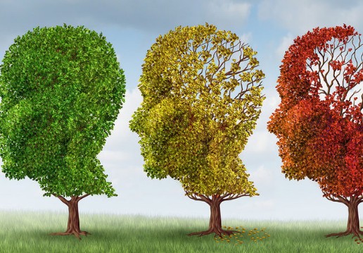 Αλτσχάιμερ: Δυσκολότερη η διάγνωση στις γυναίκες λόγω της καλύτερης προφορικής μνήμης - Φωτογραφία 1
