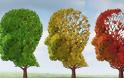 Αλτσχάιμερ: Δυσκολότερη η διάγνωση στις γυναίκες λόγω της καλύτερης προφορικής μνήμης