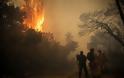 Τραγωδίες και ΗΡΩΕΣ: Μια άλλη ματιά στις πυρκαγιές της Αττικής