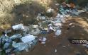 Κρήτη: Ένας απέραντος σκουπιδότοπος λίγα μέτρα από την… θάλασσα - Φωτογραφία 10
