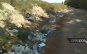 Κρήτη: Ένας απέραντος σκουπιδότοπος λίγα μέτρα από την… θάλασσα - Φωτογραφία 12
