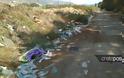 Κρήτη: Ένας απέραντος σκουπιδότοπος λίγα μέτρα από την… θάλασσα - Φωτογραφία 7