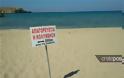 Κρήτη: Θαλάσσια ρύπανση στον Καρτερό - Απαγορεύτηκε η κολύμβηση - Φωτογραφία 3