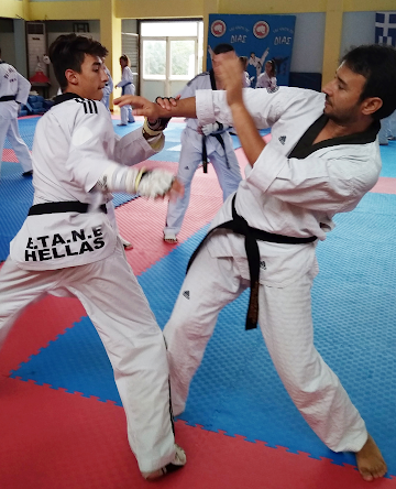 ΚΕΝΤΑΥΡΟΣ ΑΣΤΑΚΟΥ: Ολοκληρώθηκε με απόλυτη επιτυχία το 6ήμερο διεθνές camp taekwondo στον Αστακό -ΦΩΤΟ - Φωτογραφία 12