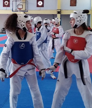 ΚΕΝΤΑΥΡΟΣ ΑΣΤΑΚΟΥ: Ολοκληρώθηκε με απόλυτη επιτυχία το 6ήμερο διεθνές camp taekwondo στον Αστακό -ΦΩΤΟ - Φωτογραφία 19