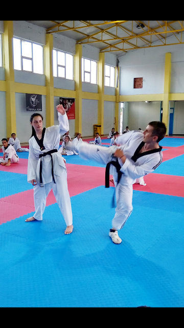 ΚΕΝΤΑΥΡΟΣ ΑΣΤΑΚΟΥ: Ολοκληρώθηκε με απόλυτη επιτυχία το 6ήμερο διεθνές camp taekwondo στον Αστακό -ΦΩΤΟ - Φωτογραφία 26