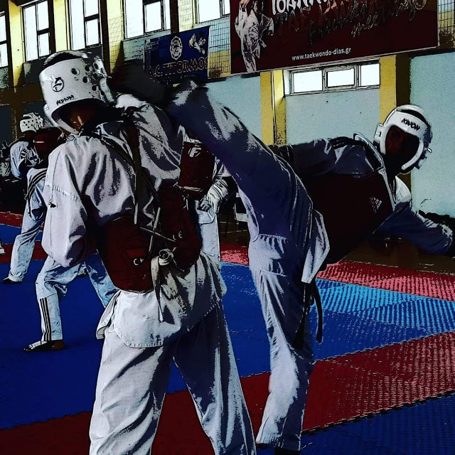 ΚΕΝΤΑΥΡΟΣ ΑΣΤΑΚΟΥ: Ολοκληρώθηκε με απόλυτη επιτυχία το 6ήμερο διεθνές camp taekwondo στον Αστακό -ΦΩΤΟ - Φωτογραφία 3
