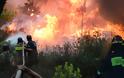 Αξιωματικός Ειδικών Δυνάμεων: Η πυρκαγιά στο Νέο Βουτζά όπως την έζησα - Φωτογραφία 4
