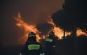 Observer: Οργισμένοι οι Έλληνες πυροσβέστες για τους χειρισμούς της κυβέρνησης στις φονικές πυρκαγιές