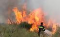 Άμεση κατάσβεση πυρκαγιών σε Σκουρτού και Καστανούλα