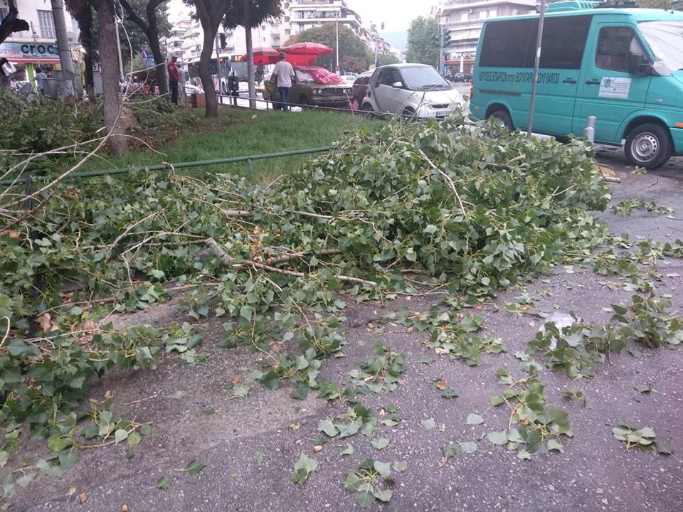 Έπεσε δέντρο και έσπασε αγωγό της ΕΥΑΘ στο κέντρο της Θεσσαλονίκης [photos] - Φωτογραφία 2