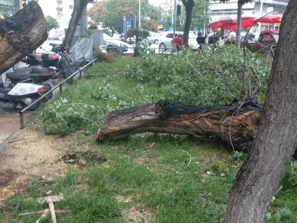 Έπεσε δέντρο και έσπασε αγωγό της ΕΥΑΘ στο κέντρο της Θεσσαλονίκης [photos] - Φωτογραφία 3