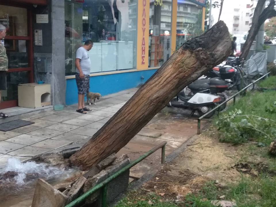 Έπεσε δέντρο και έσπασε αγωγό της ΕΥΑΘ στο κέντρο της Θεσσαλονίκης [photos] - Φωτογραφία 4