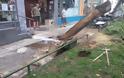 Έπεσε δέντρο και έσπασε αγωγό της ΕΥΑΘ στο κέντρο της Θεσσαλονίκης [photos]
