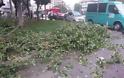 Έπεσε δέντρο και έσπασε αγωγό της ΕΥΑΘ στο κέντρο της Θεσσαλονίκης [photos] - Φωτογραφία 2
