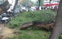 Έπεσε δέντρο και έσπασε αγωγό της ΕΥΑΘ στο κέντρο της Θεσσαλονίκης [photos] - Φωτογραφία 3