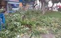 Έπεσε δέντρο και έσπασε αγωγό της ΕΥΑΘ στο κέντρο της Θεσσαλονίκης [photos] - Φωτογραφία 6