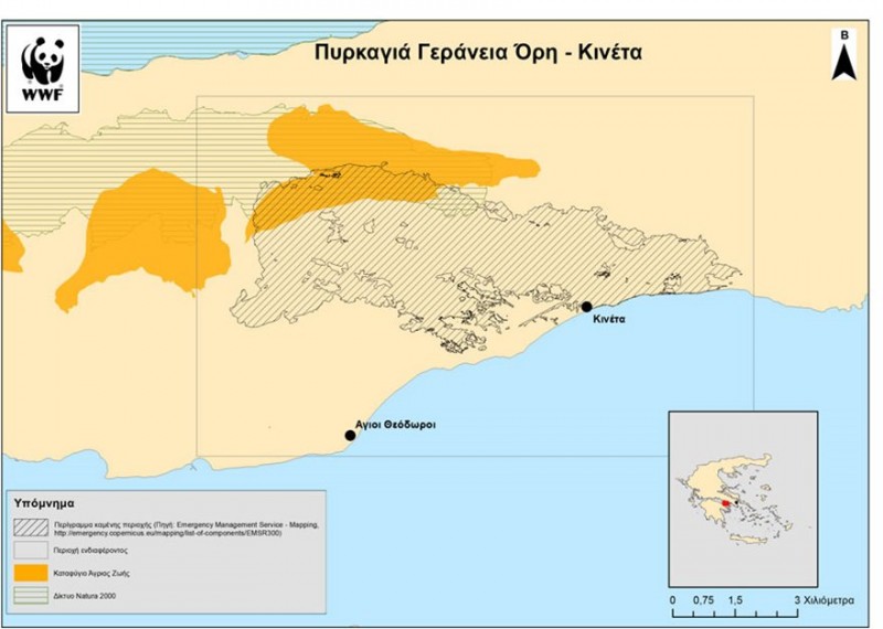 Στοιχεία για τις φετινές πυρκαγιές: Στάχτη 86.000 στρέμματα σε όλη την Ελλάδα - Φωτογραφία 2