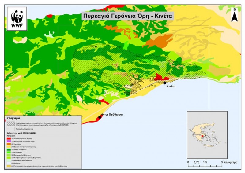 Στοιχεία για τις φετινές πυρκαγιές: Στάχτη 86.000 στρέμματα σε όλη την Ελλάδα - Φωτογραφία 4