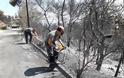 Η ΜΟΜΚΑ ανοίγει δρόμους και καθαρίζει τα ρέματα στην Ραφήνα (ΦΩΤΟ) - Φωτογραφία 5