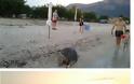 Εντοπίστηκε νεκρή θαλάσσια χελώνα στον ΜΥΤΙΚΑ Αιτωλοακαρνανίας -(ΦΩΤΟ: Πηνελόπη Γκούμα) - Φωτογραφία 2
